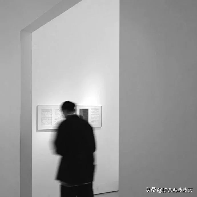 可爱的猫咪头像和小狗头像,团子头像可爱微信头像