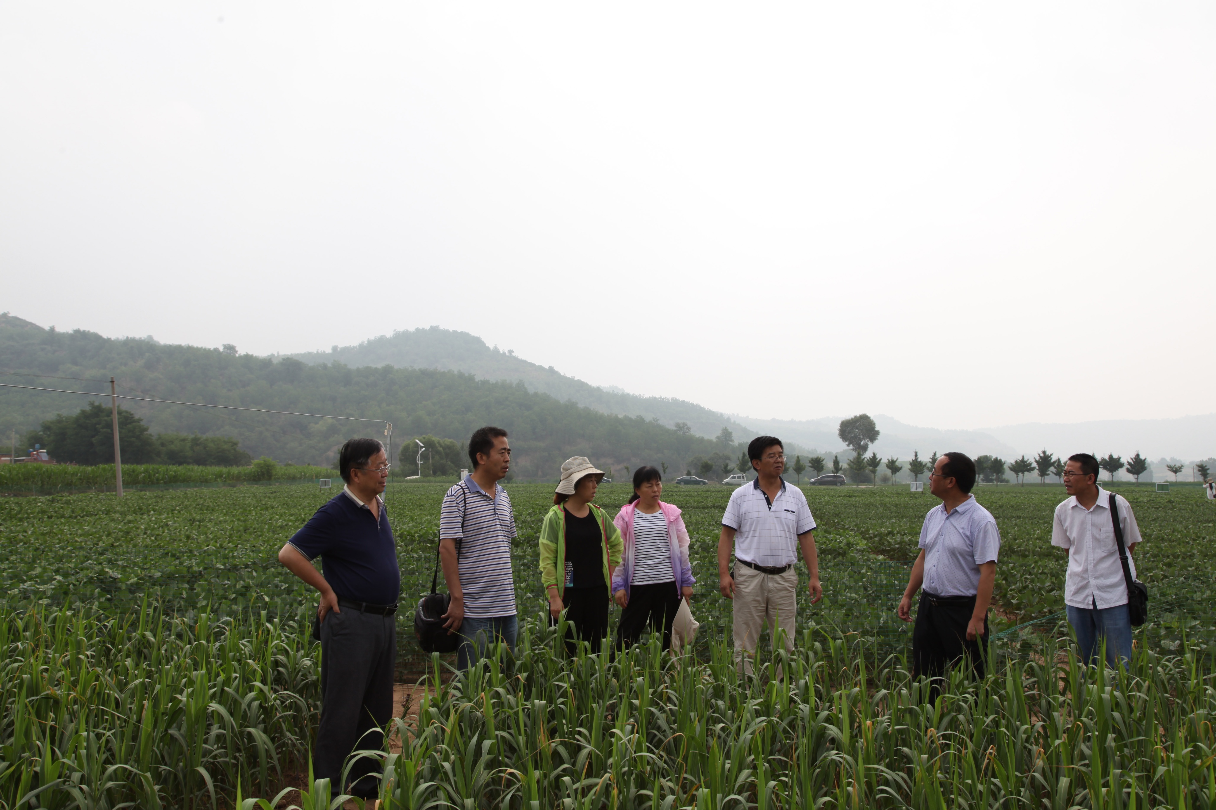 农业科技这十年丨冯佰利：深耕小杂粮成就品牌“天下知”