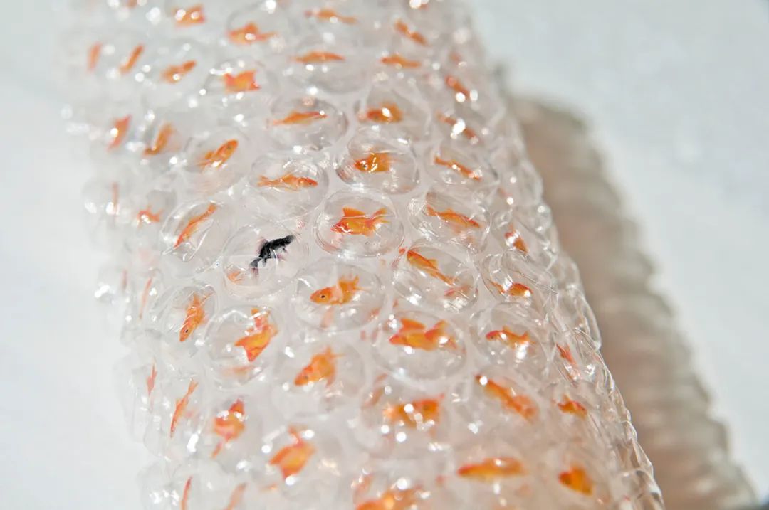 100个解压系列,解压手工活视频素材100例