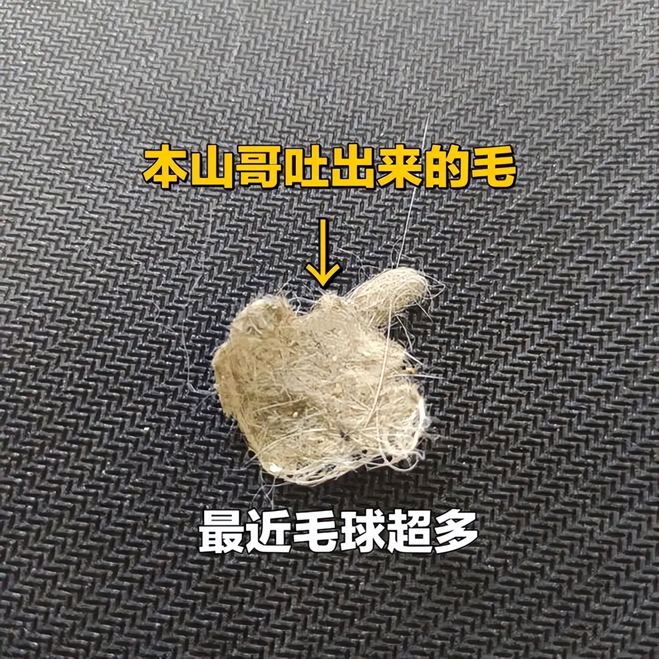 猫咪去除毛球猫草好还是化毛膏好,猫咪是买化毛膏好还是猫草好
