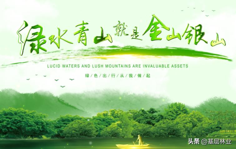 木材价格持续低迷的真正原因是什么，种树的农民如何应对？