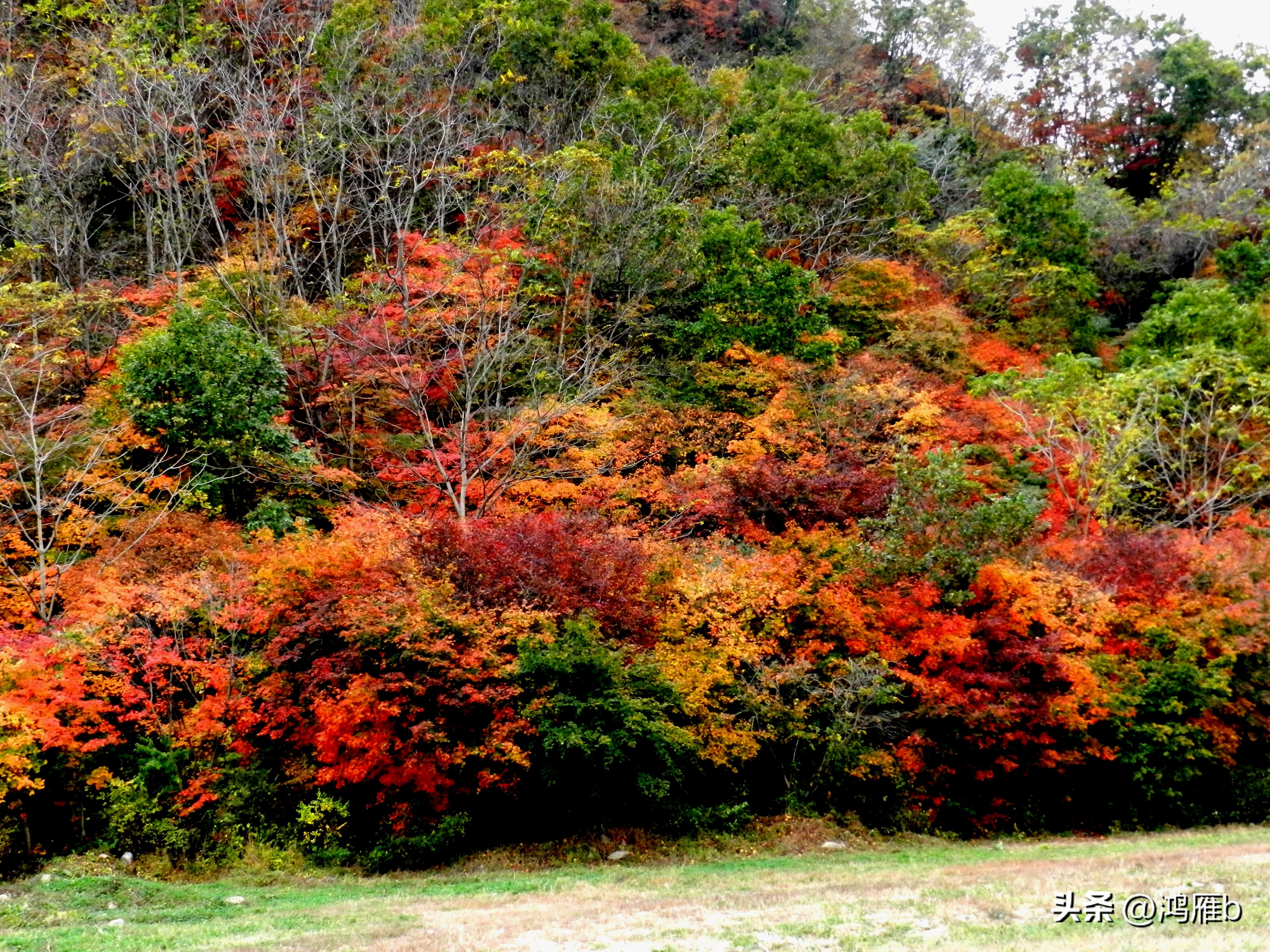 本溪温泉汤沟门票价格,本溪花溪沐枫雪温泉小镇
