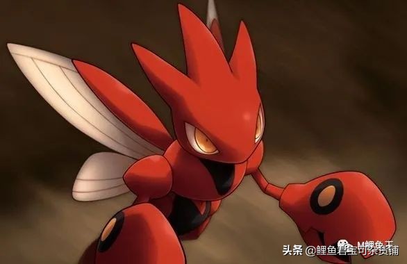 宝可梦进化,宝可梦成长之路