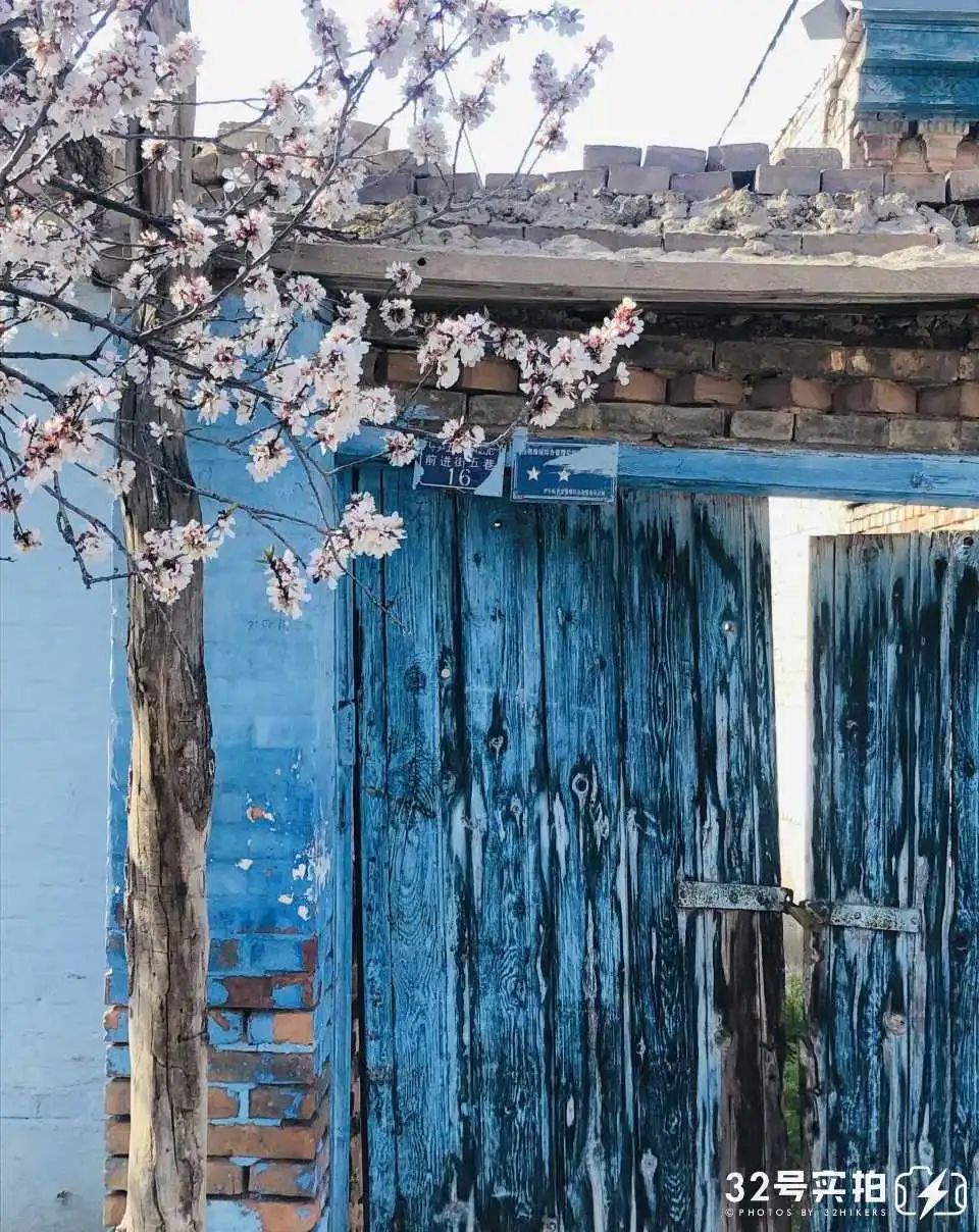 那拉提空中草原雪景照片,大草原的壮丽雪景图