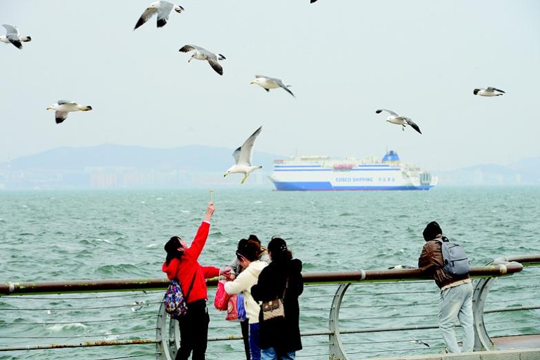 半岛晨报社到港东五街怎么走,坐201路游大连