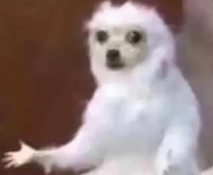 固态造假问题,固态鉴别真假