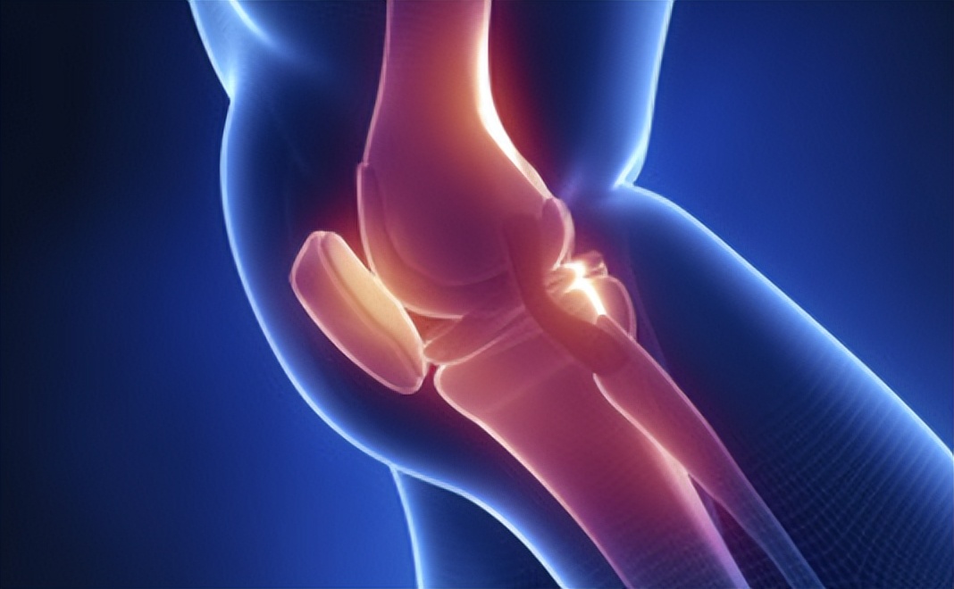 氨糖关节修复液,关节修复吃哪种氨糖