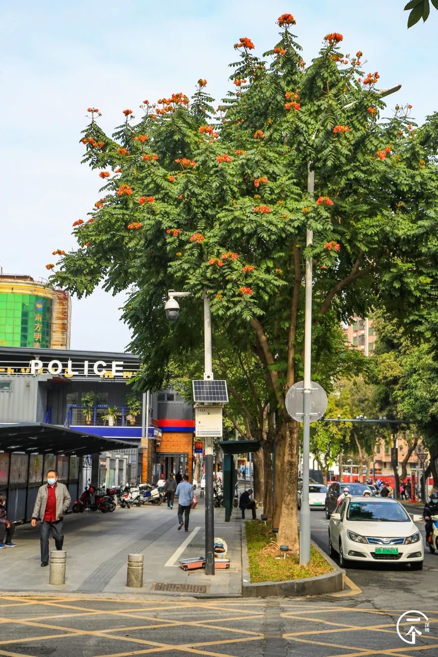 我在富士康干了24天能拿多少钱,暑假工富士康打工的真实生活