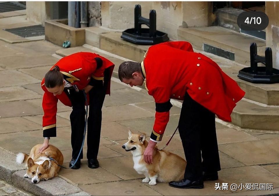 英国王室凯特最后结局,英王室国王查尔斯最新消息