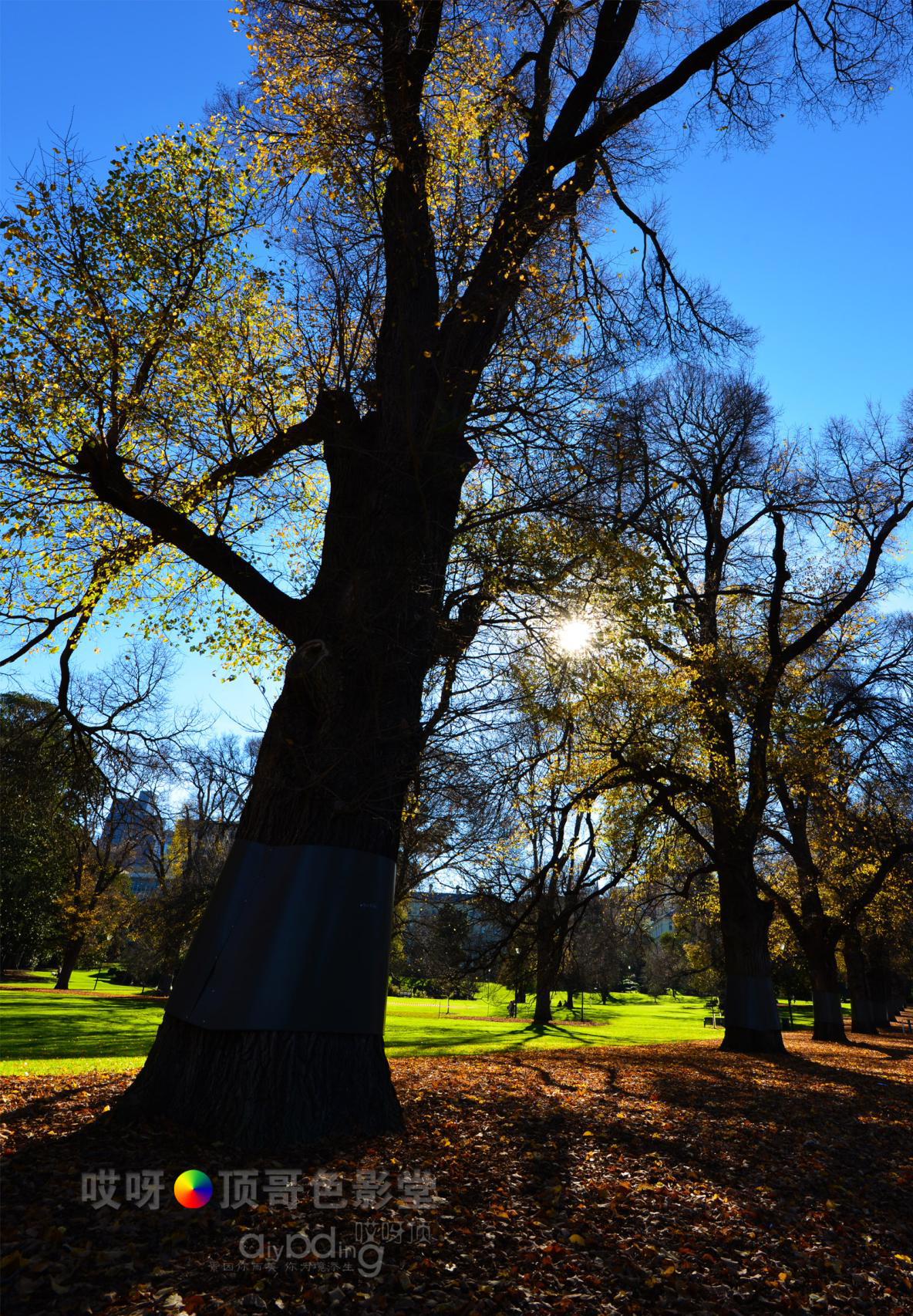 旅行家的眼神，看到不一样的人文澳洲（四之一）