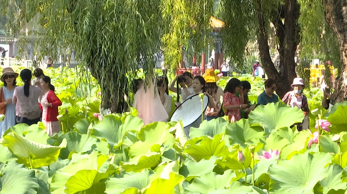 云南昆明热门的夏天避暑活动合集,昆明热门的夏天避暑位置