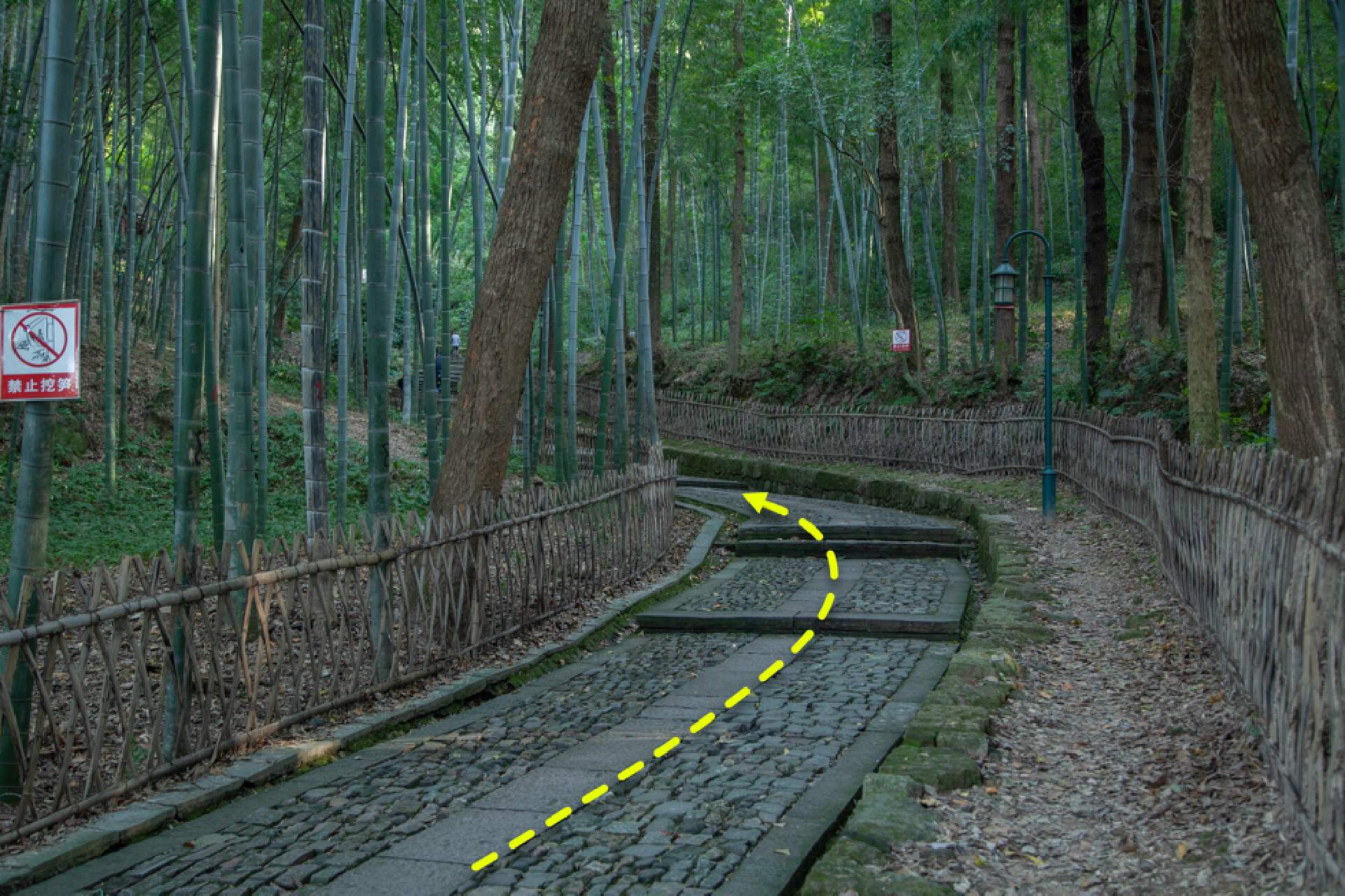 杭州古道徒步详细攻略,杭州西湖边最适合徒步的打卡地