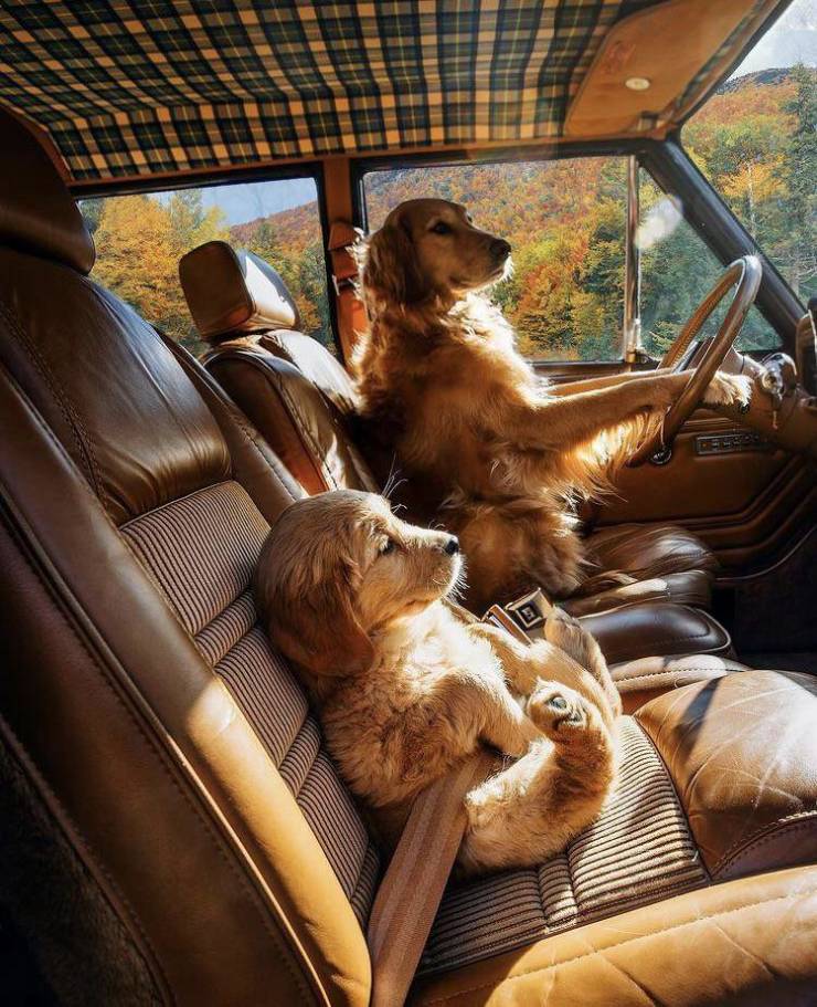 100个难得一见照片,火山爆发时的岩浆图片真实