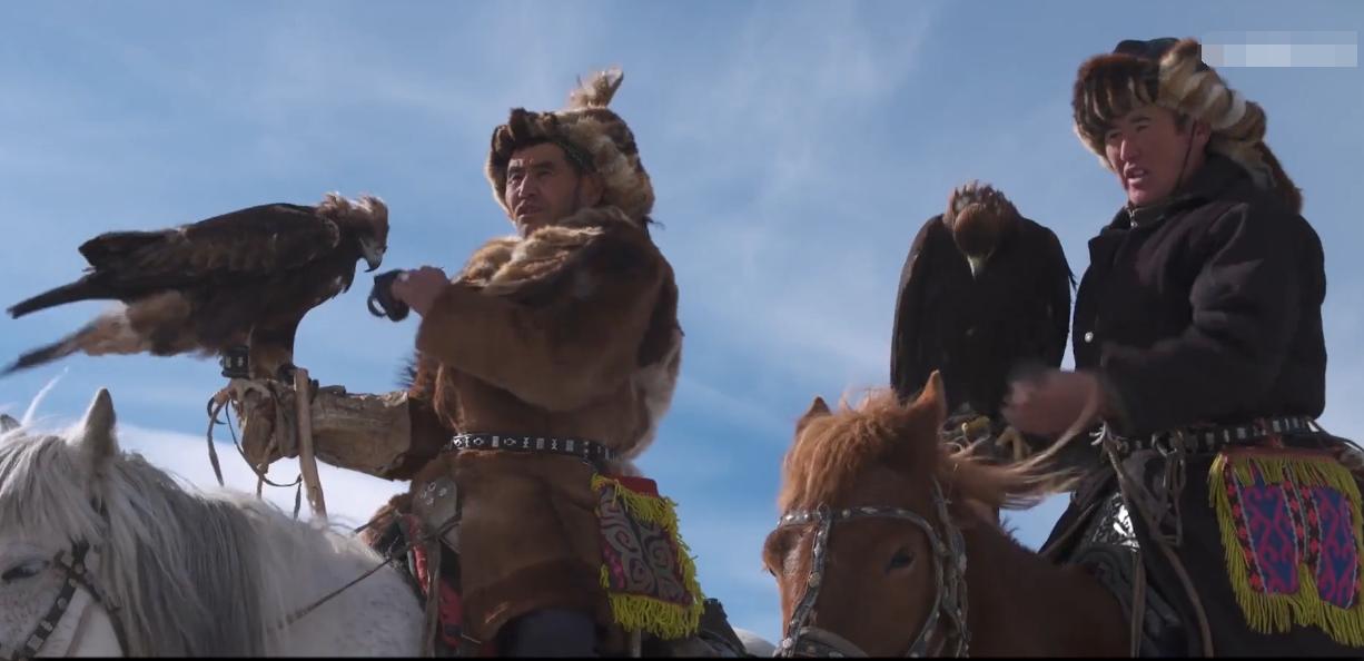 金雕击毙狼全过程,蒙古猎鹰捕狼视频