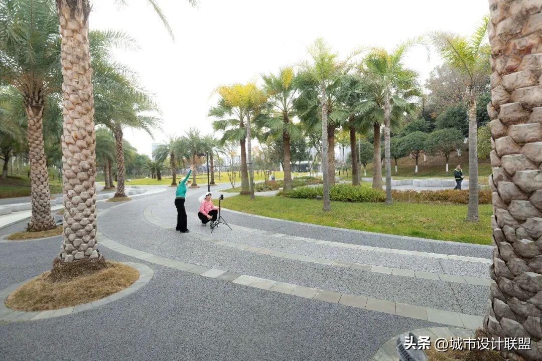 成都值得一游的公园,夏季成都宝藏公园