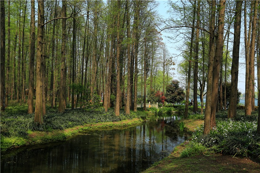 杭州西湖十景和新西湖十景,杭州西湖十景详解