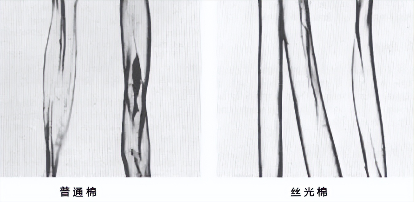 t恤是纯棉的好还是丝光棉的好,丝光棉与纯棉有什么区别