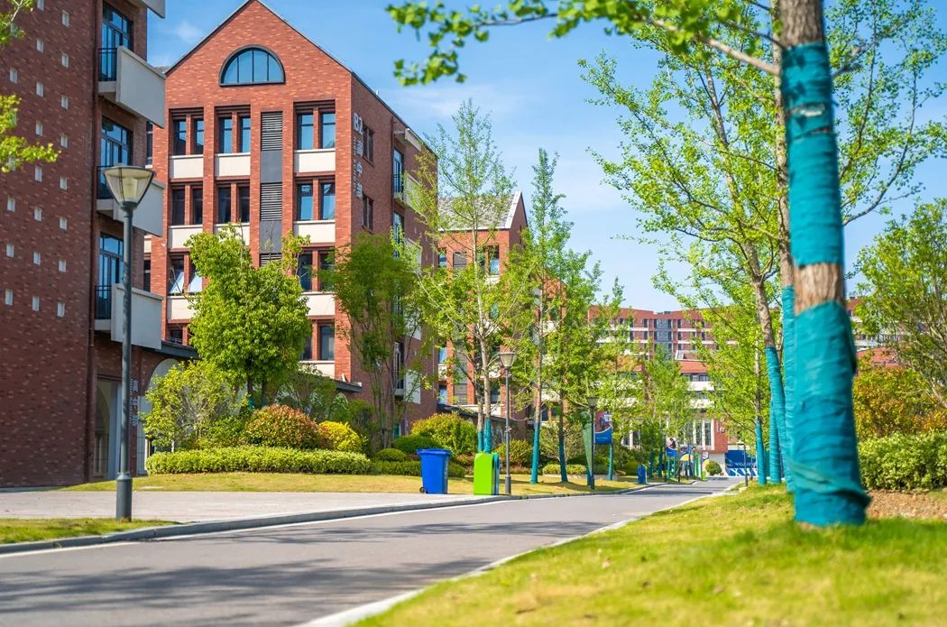 阜阳十中哪些老师厉害,阜阳哪个学校老师有实力