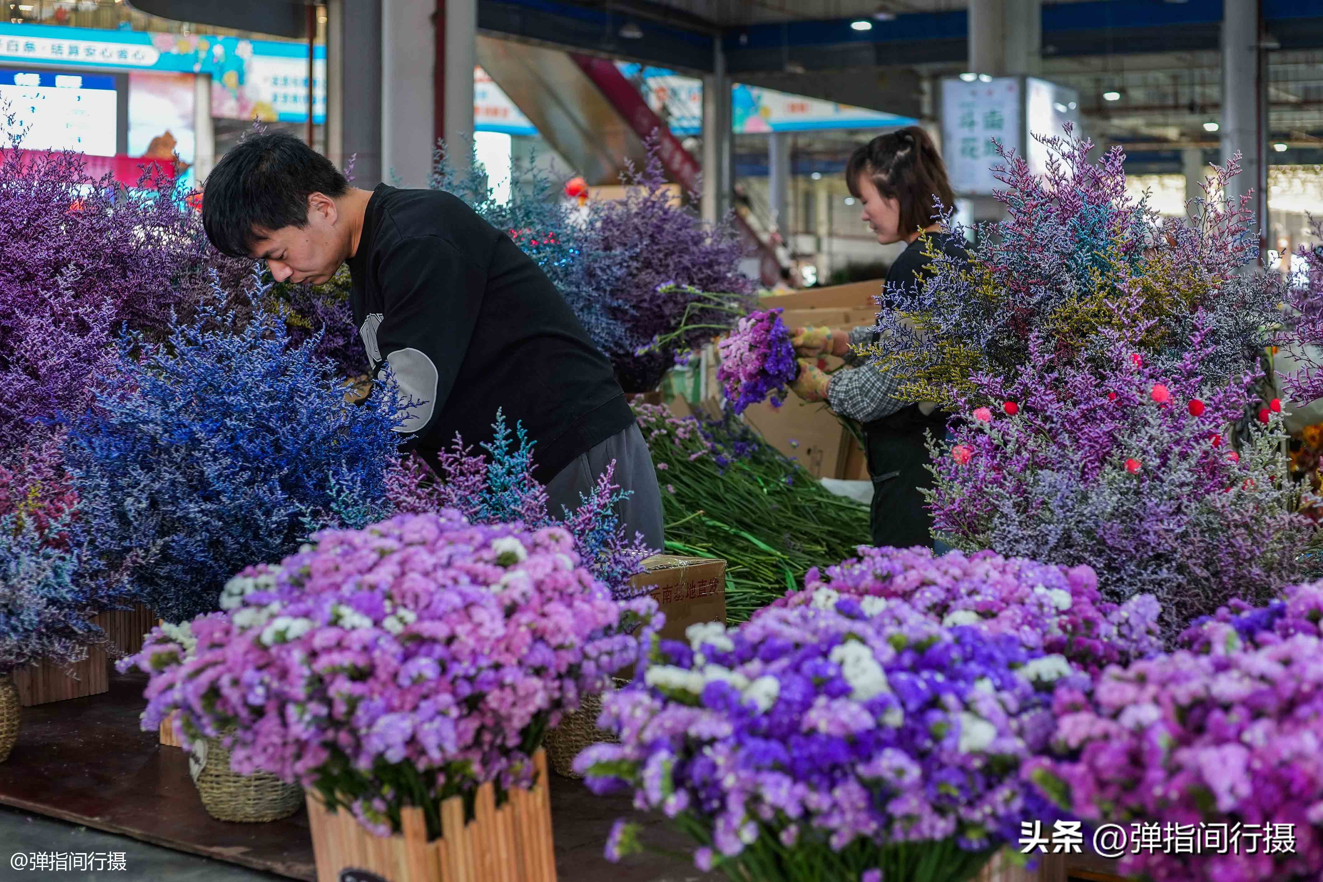 昆明春天假日游玩推荐特辑,昆明春天旅游攻略