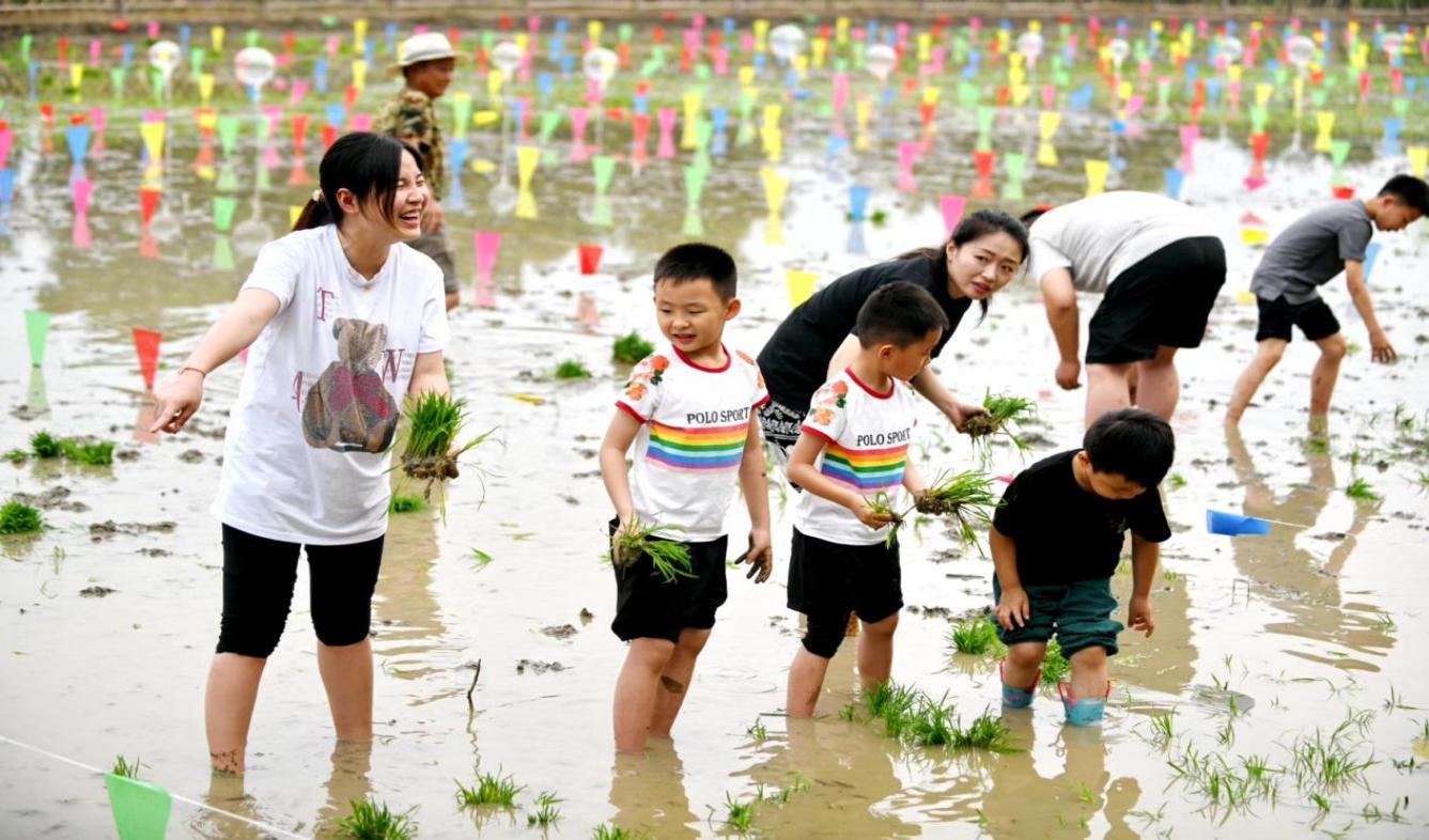 常州乡村旅游发展,钟楼乡村旅游发展