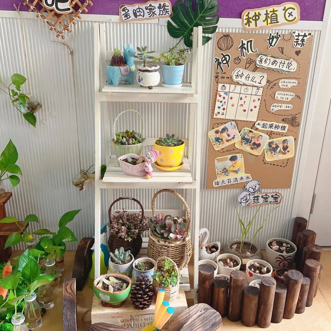 生态环创幼儿园自然角,幼儿园环创自然角实验