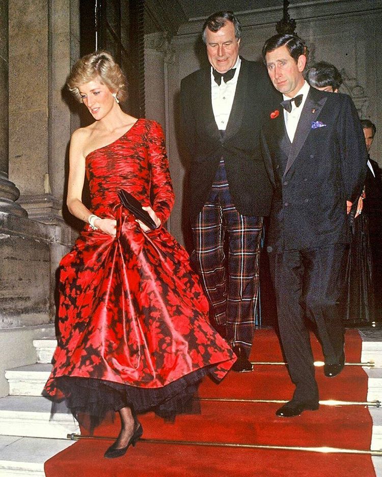 戴安娜王妃的蓝丝绒礼服,戴安娜王妃惊世容颜