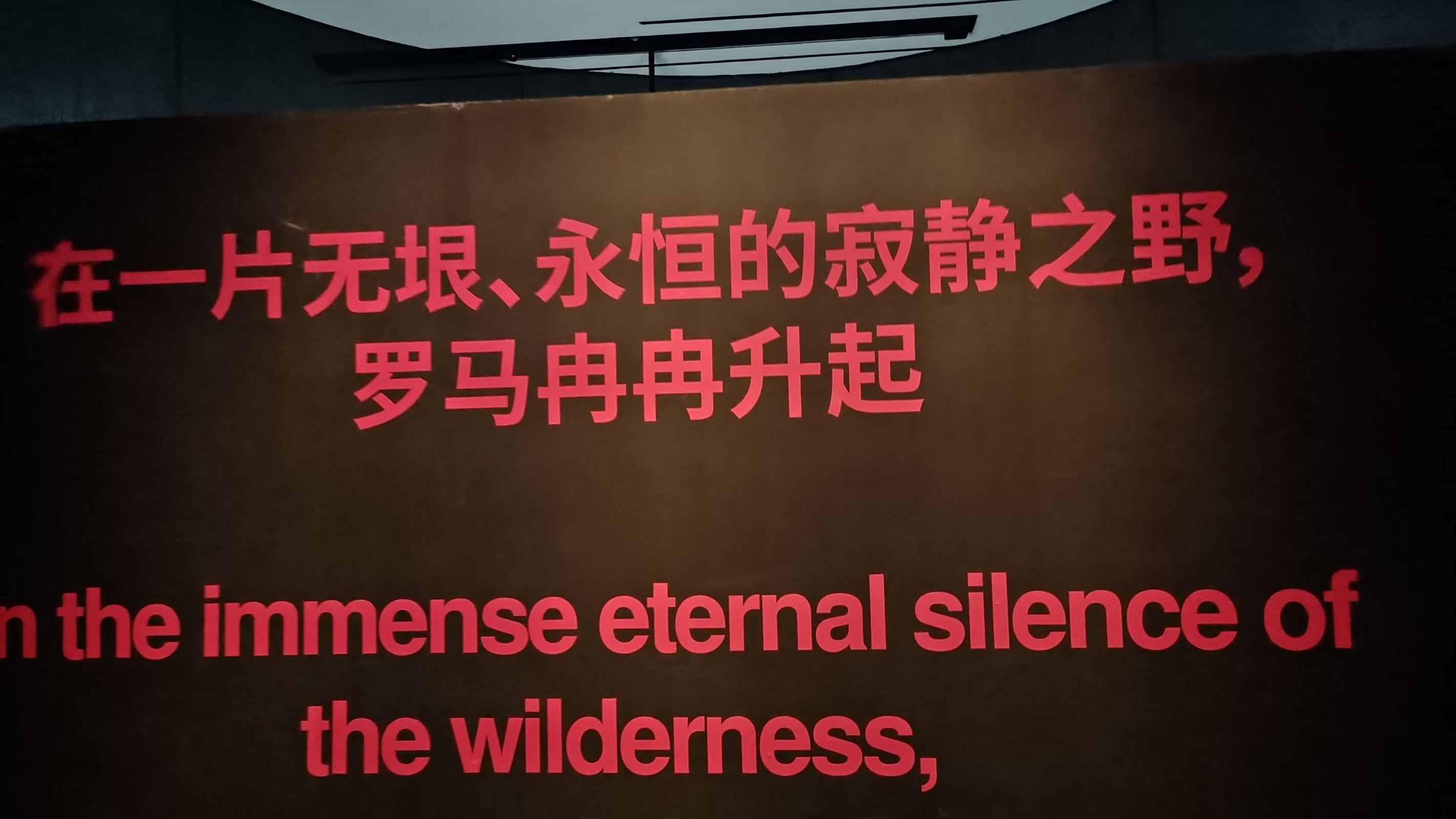 研学上海旅游攻略,上海研学旅行攻略