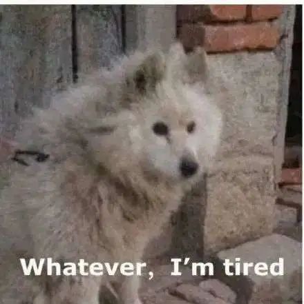 古代人啪啪啪后怎么知道中没中？