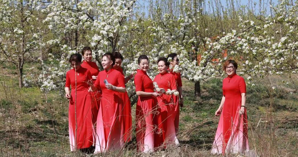 抚顺春季赏花,抚顺踏青赏花攻略