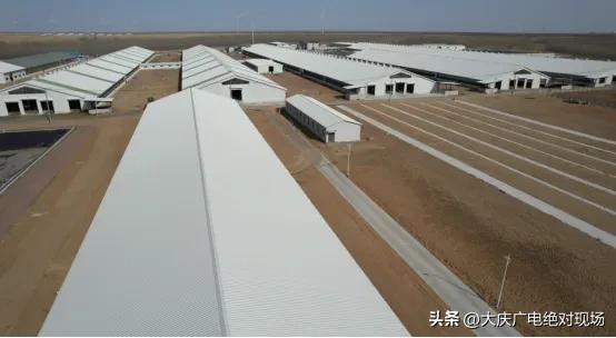 大庆生产的牛奶,大庆产牛奶