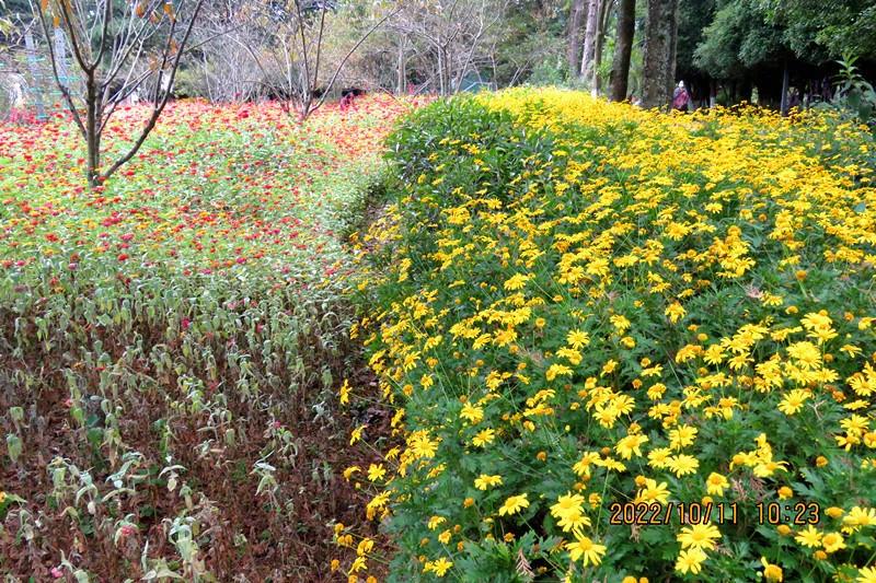 花溪小公园,美丽的花溪公园