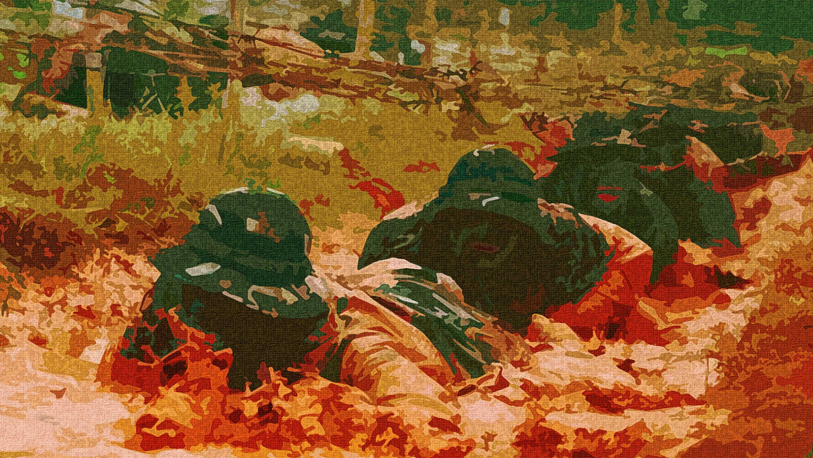 猛龙跨海拯救烈士之女，英雄回首童年夺命记忆（漫画版小说）