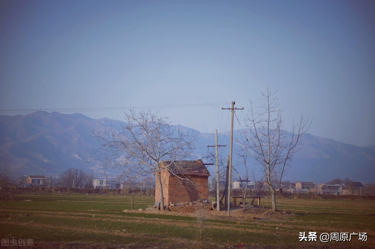 唐都浪子《饥荒年代关中往事》之：烧毛豆