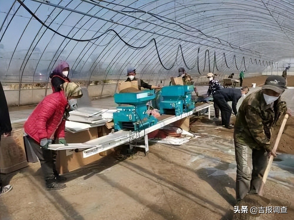 代耕代种代管代收全程托管,代耕代种代收代管全程托管