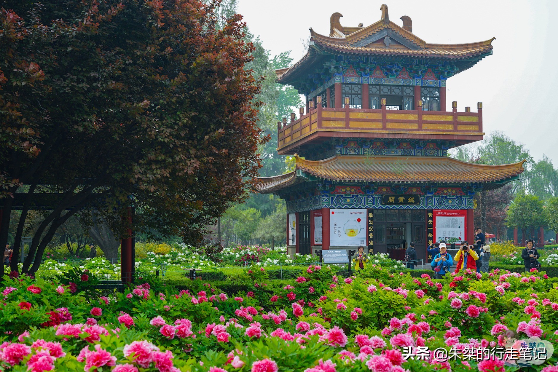 我国唯一一座以花为名的城市,中国唯一一个以花为名的城市