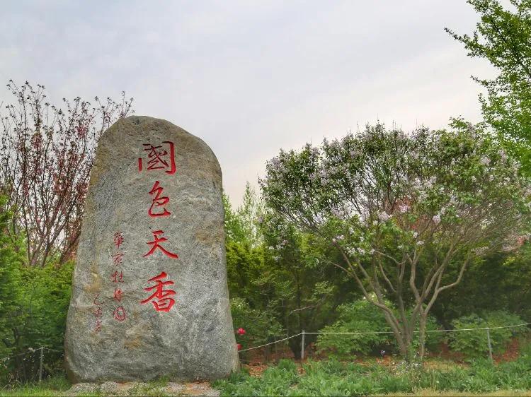 大连旅游必去景点排名亲子,大连冬天旅游必去景点排名