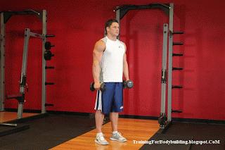 居家徒手增肌健身计划一周表图,新手家庭健身一周训练计划