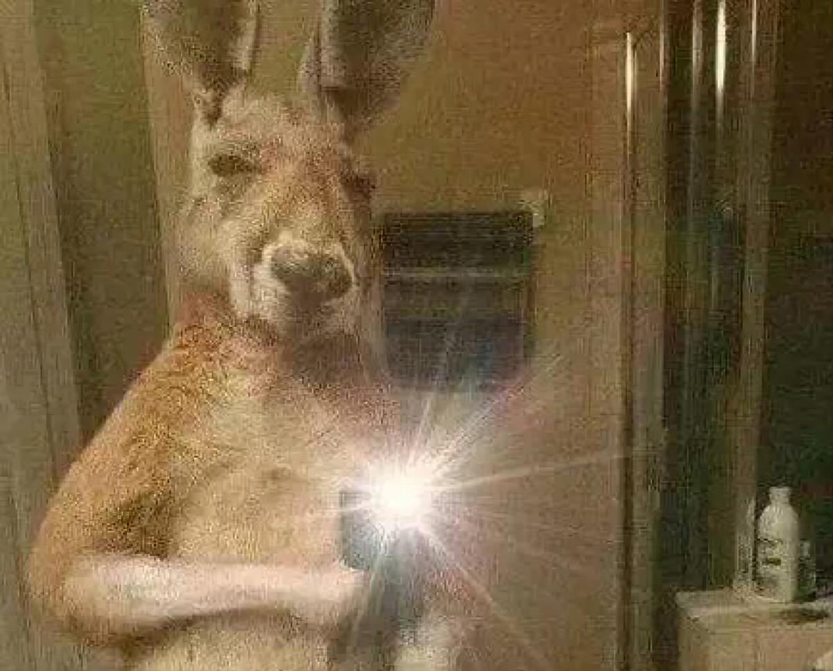 2022年应届生很难找工作,2022年应届生找工作很难吗