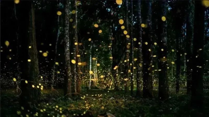 云南六一儿童节旅游攻略,云南适合小朋友旅游的地方