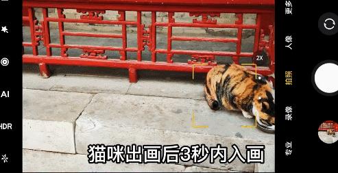 过年手机选哪部？广东人喜爱的几款耐用机，性能颜值样样全