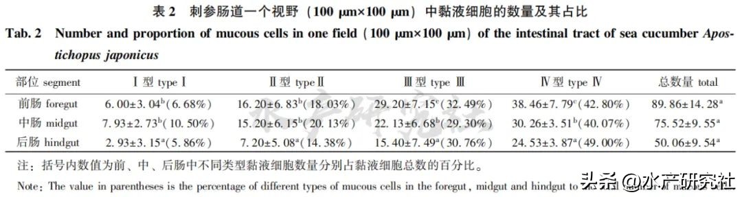 刺参营养价值和功效,刺参的营养成分分析