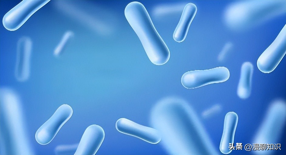 益生菌与致病菌的竞争结合位点有哪些？如何抑制它的生长？