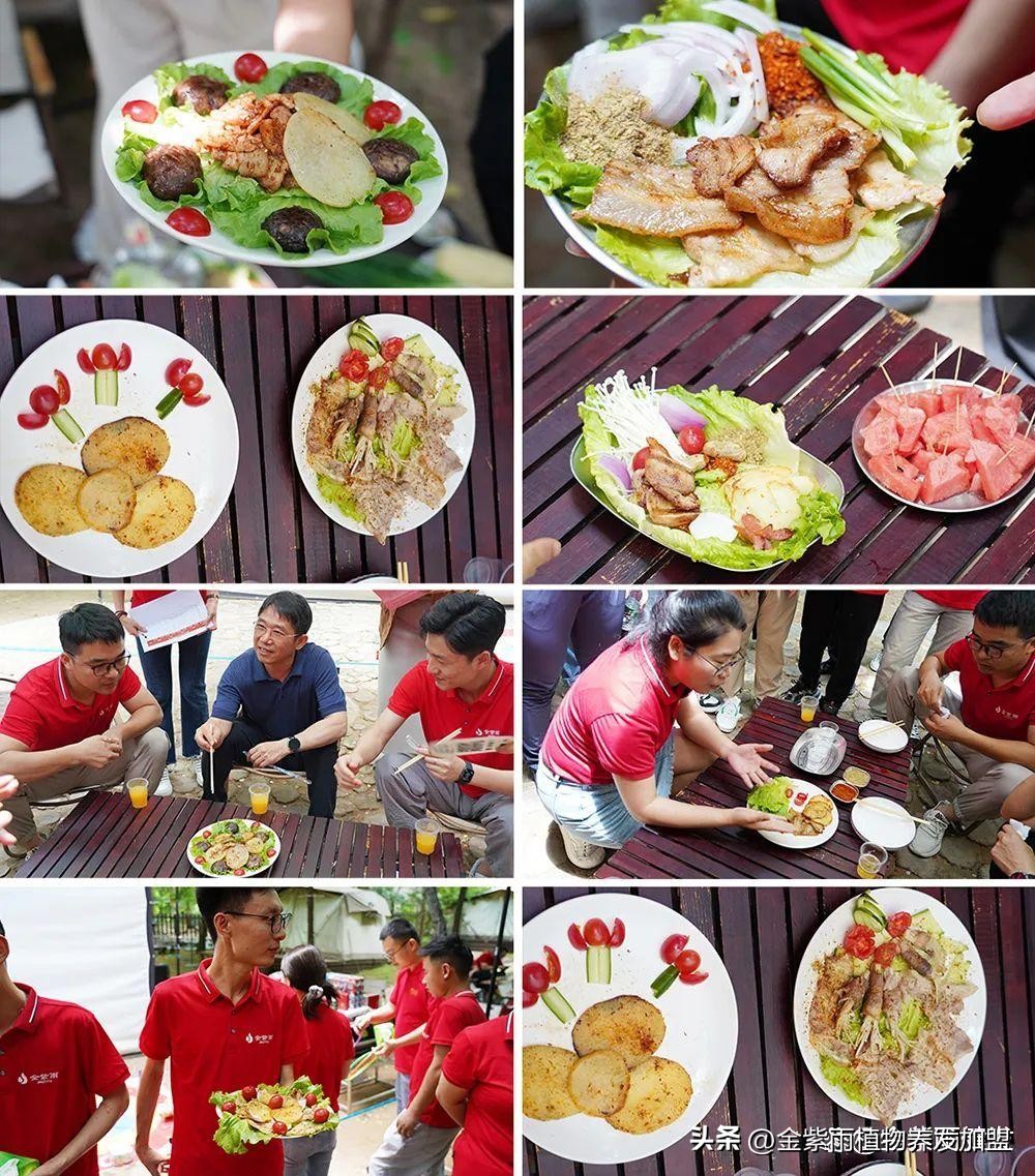 伊莱雅集团直播,伊莱雅集团