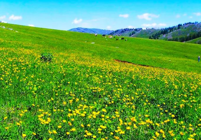 人生难得静心,人生难得清净心