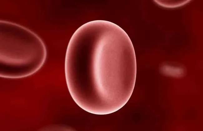 熊猫血发生概率,多少人能出现一例熊猫血