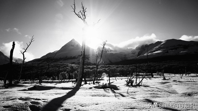 二胎放开后是生好还是不生呢,全面放开二胎政策后还能生吗