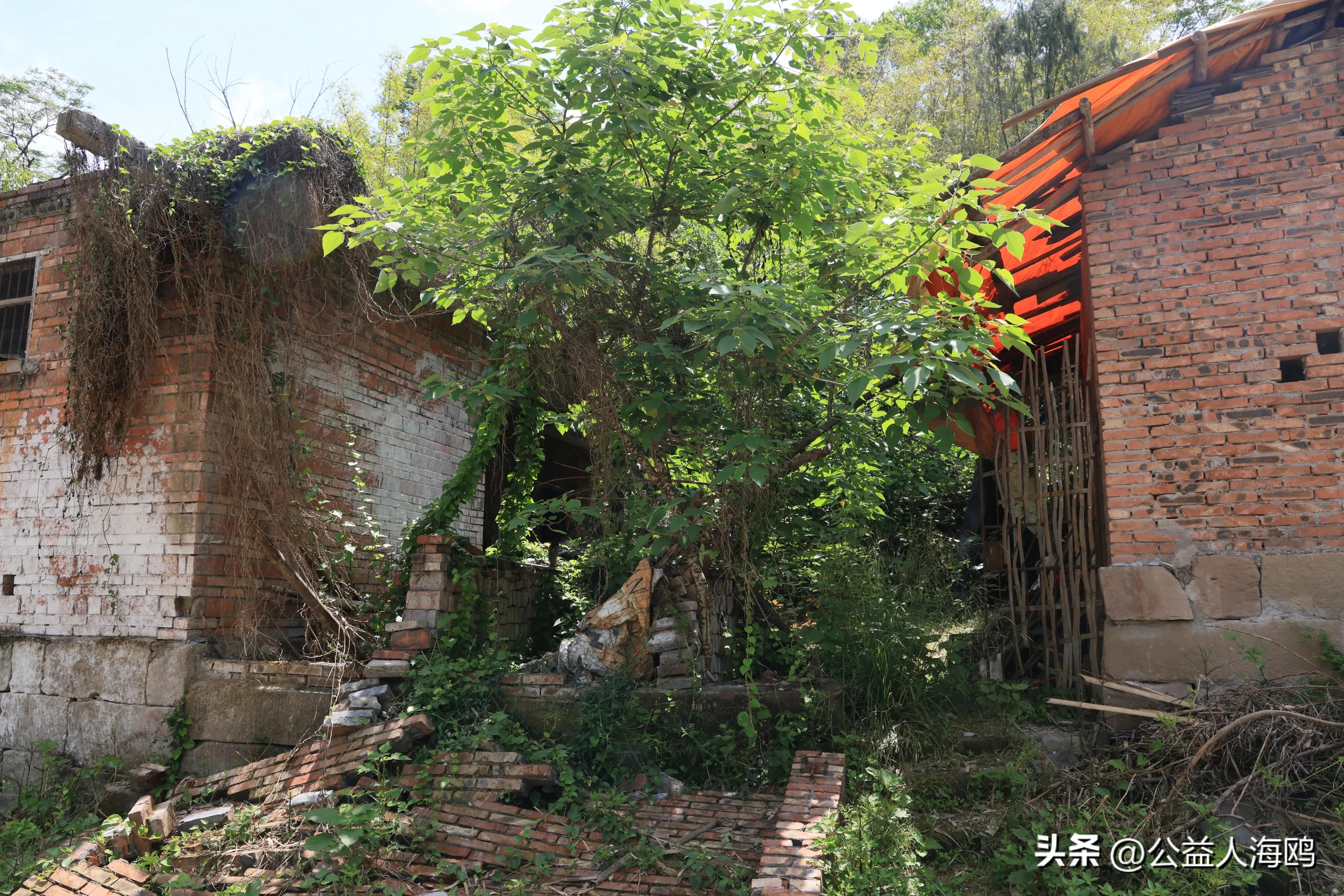 真爱回眸05：《为春荣的坚强报之以歌的幸福屋》