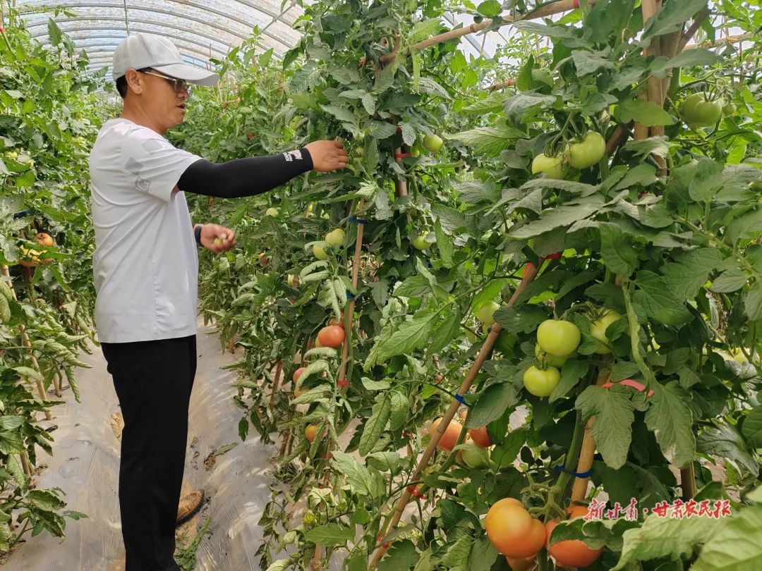 撂荒地治理措施及成效,撂荒地整治有哪些难题