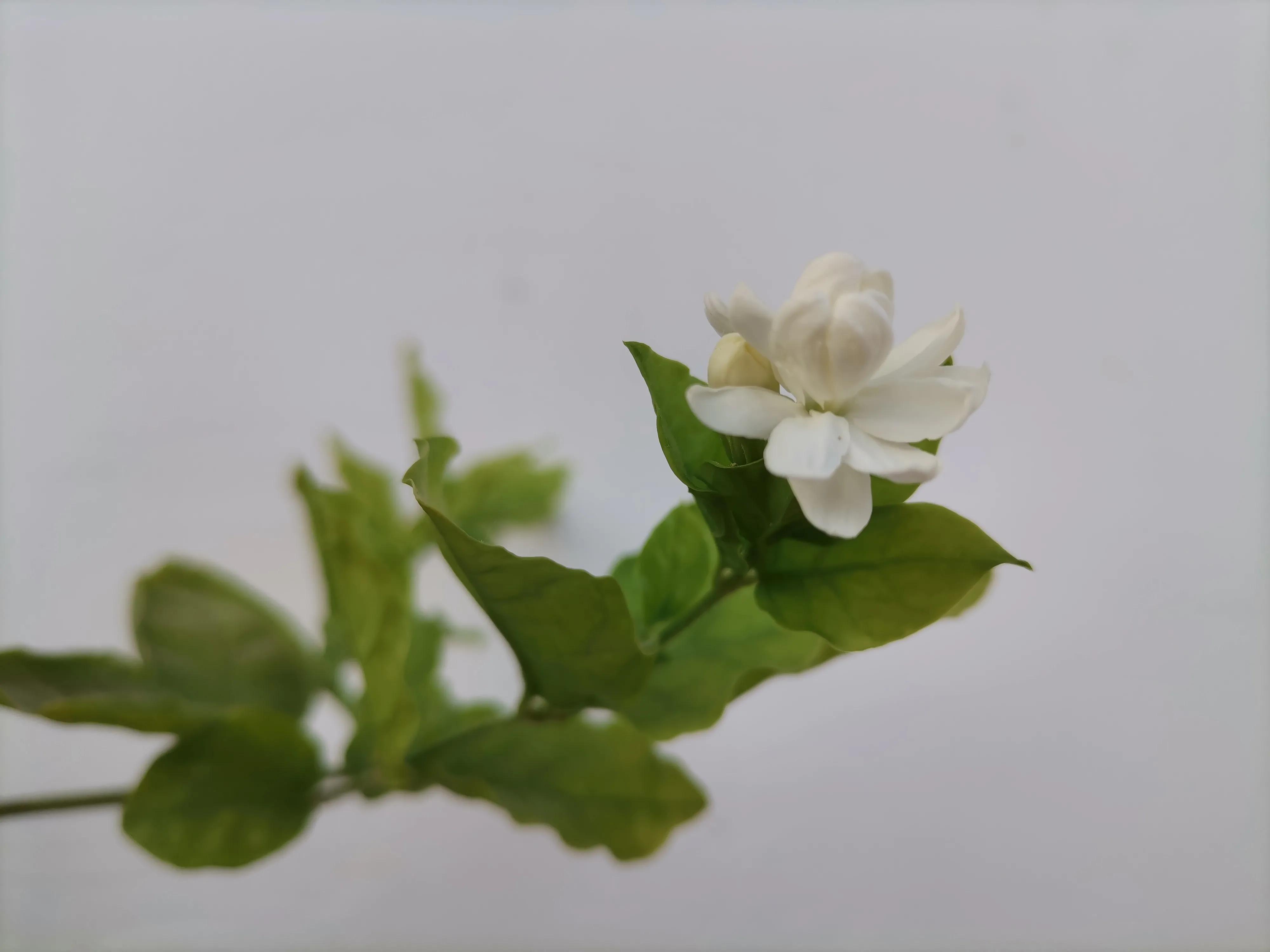 临床药物治疗学是什么,临床药物治疗学的内容