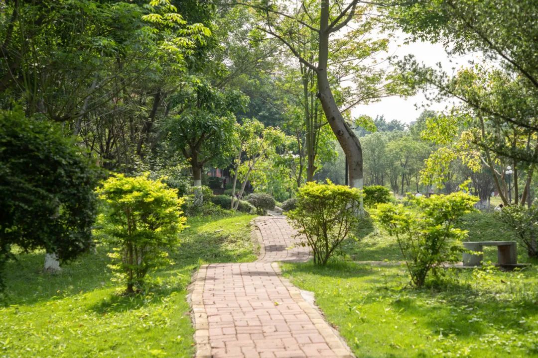 广东工业大学华立学院和华立科技,广东广州华立学院好吗